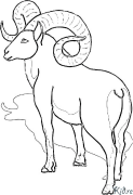 mouflon דפי צביעה להדפסה